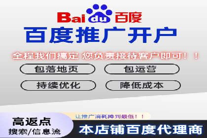 SEM托管公司案例分析：实战技巧全解析